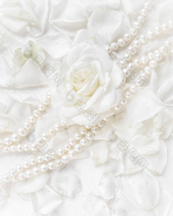 美丽的白色玫瑰珍珠项链背景花瓣<strong>理想</strong>的问候卡片婚礼生日情人节一天母亲的一天