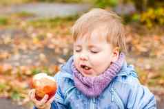 秋天情绪男孩提出了背景黄色的叶子吃多汁的红色的苹果秋天肖像孩子苹果视线可爱的微笑男孩