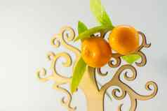 自然小橘子人工树自然化妆品产品产品横幅的地方文本设计