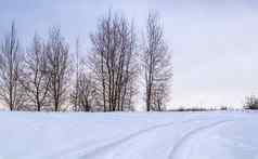 白雪覆盖的场白色路集团树地平线冬天景观