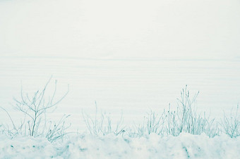 和平农村冬天景观冷雪覆盖地面农田农村沉默12月早....软蓝色的颜色音调Copyspace