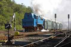 蒸汽火车蒸汽机车被称为鹦鹉卢日纳