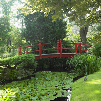 日本花园真爱一世情县基尔代尔爱尔兰