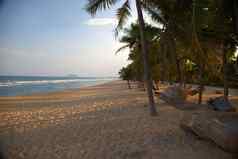 异国情调的海滩棕榈树吊床sunset-horizontal