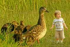 可爱的小男孩玩鸭子