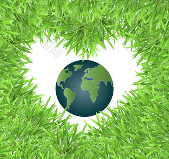 孤立的绿色心草照片框架全球