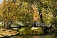 池塘白色桥公园秋天