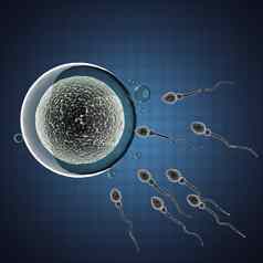 精子蛋细胞微观