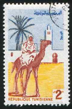 骆驼骑手