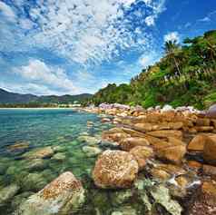 海岸热带海洋泰国