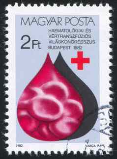 世界血液学国会