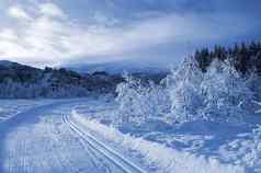 滑雪跟踪冬天仙境