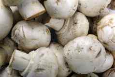 可食用的食用香草蘑菇宏食物背景