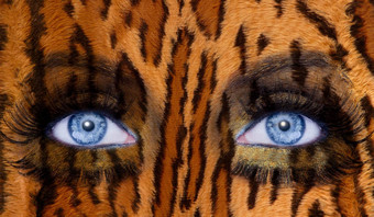 蓝色的时尚化妆眼睛豹捷豹皮肤纹理