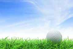 高尔夫球球绿色草蓝色的天空