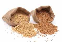 粗麻布袋小麦粮食荞麦