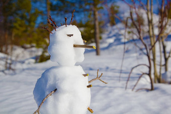 肖像雪人