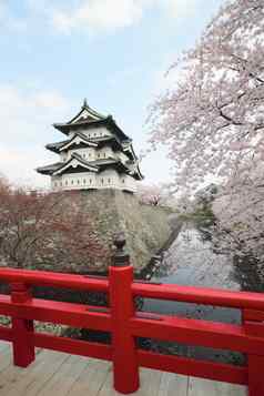 完整的盛开樱桃花朵日本城堡