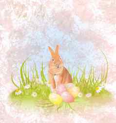 棕色（的）毛兔子坐着草复活节鸡蛋