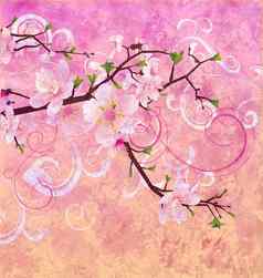 桃子粉红色的颜色盛开的樱桃树难看的东西背景