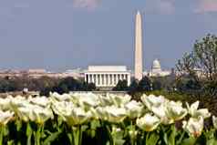 华盛顿天际线林肯纪念华盛顿纪念碑