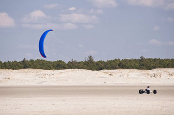 beach-buggies