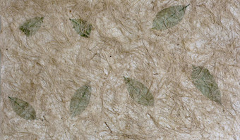 棕色（的）桑纸棕色（的）纸浆绿色树叶