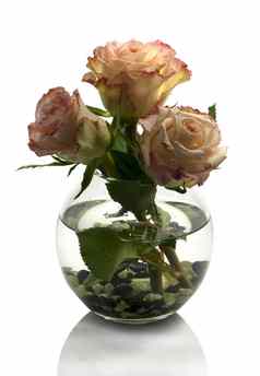 花瓶橙色玫瑰