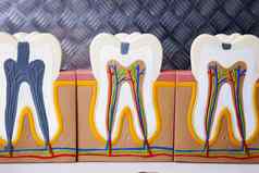 牙科设备牙齿护理