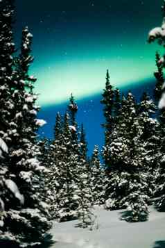 北部灯极光北欧化工冬天森林