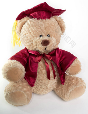 毕业泰迪熊