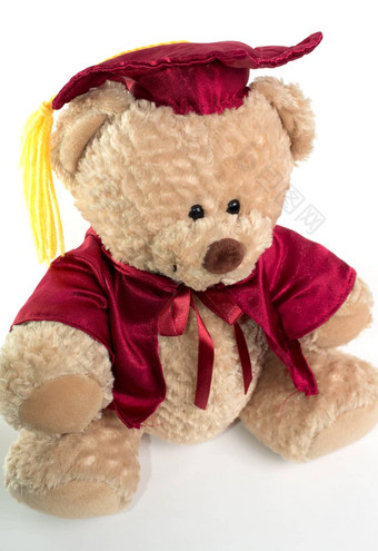 毕业泰迪熊