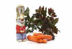 复活节兔子胡萝卜