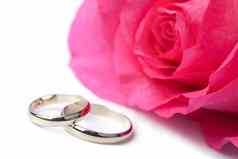 黄金婚礼环粉红色的玫瑰孤立的
