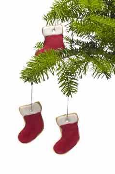 树现在袜子形状饼干圣诞节树装饰