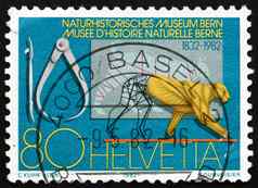 邮资邮票瑞士伯尔尼博物馆自然历史