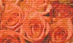 玫瑰砖墙