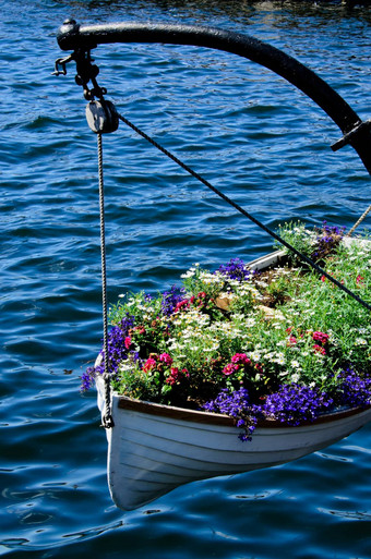 船完整的花