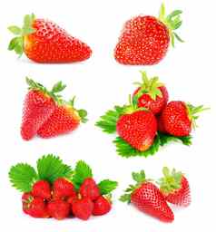 草莓集