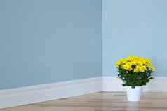 黄色的雏菊白色能装修房间