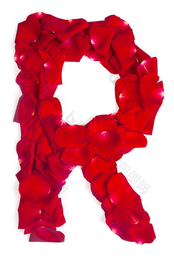信使红色的花瓣玫瑰<strong>白色</strong>