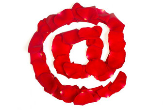 电子邮件象征使红色的花瓣玫瑰白色