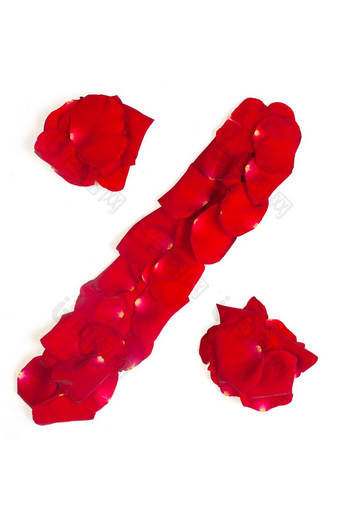 百分比象征使红色的花瓣玫瑰孤立的<strong>白色</strong>