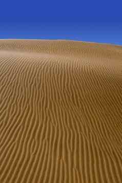 沙漠沙丘沙子Maspalomas大加那利岛
