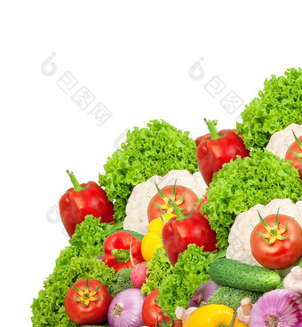 各种各样的新鲜的蔬菜