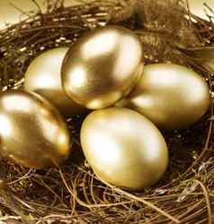 复活节金鸡蛋巢