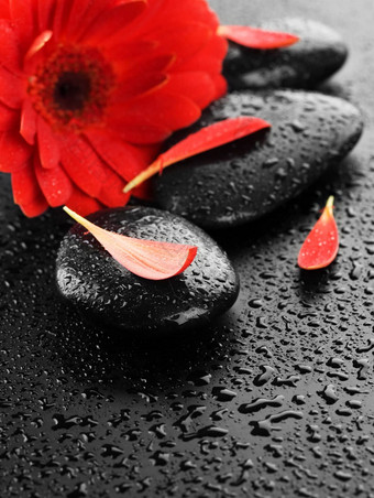 湿水疗中心石头红色的花