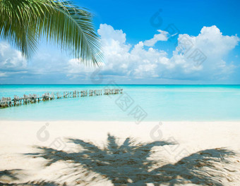 加勒比岛假期旅游概念太阳手掌