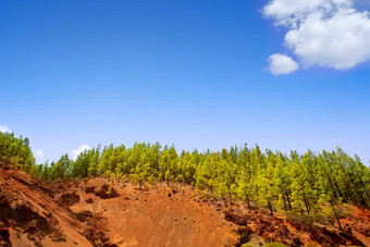 电晕<strong>受影响</strong>泰德国家公园tenerife