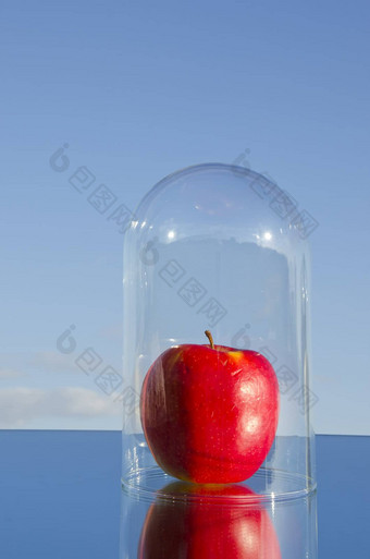 新鲜的红色的苹果玻璃贝尔镜子